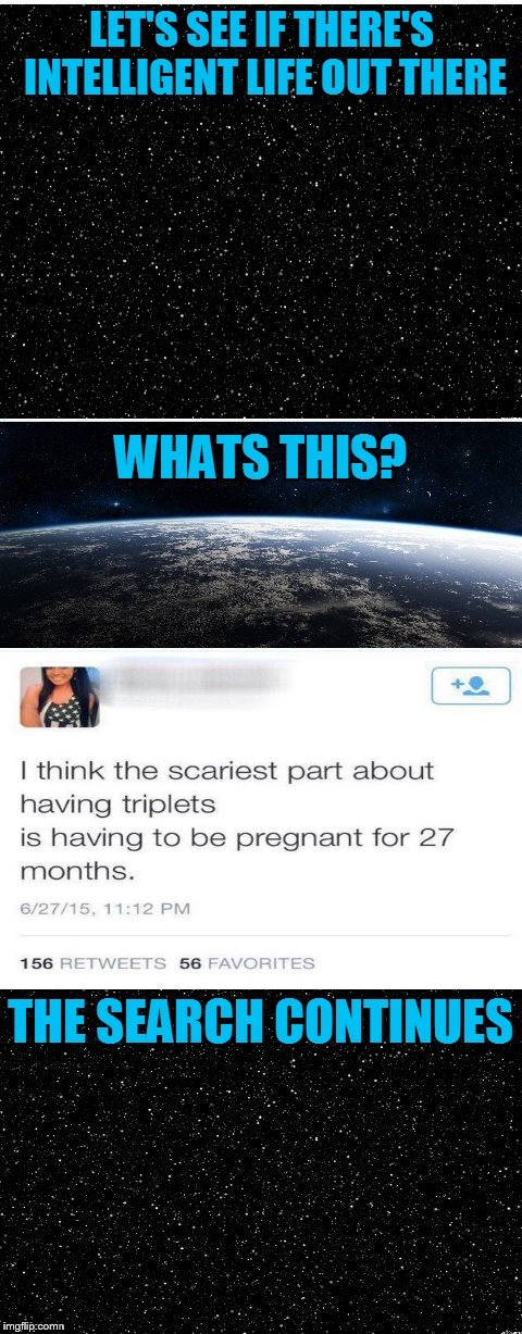 I question humanity way too often... | image tagged in the search continues,triplets,27 months,dumb tweets | made w/ Imgflip meme maker