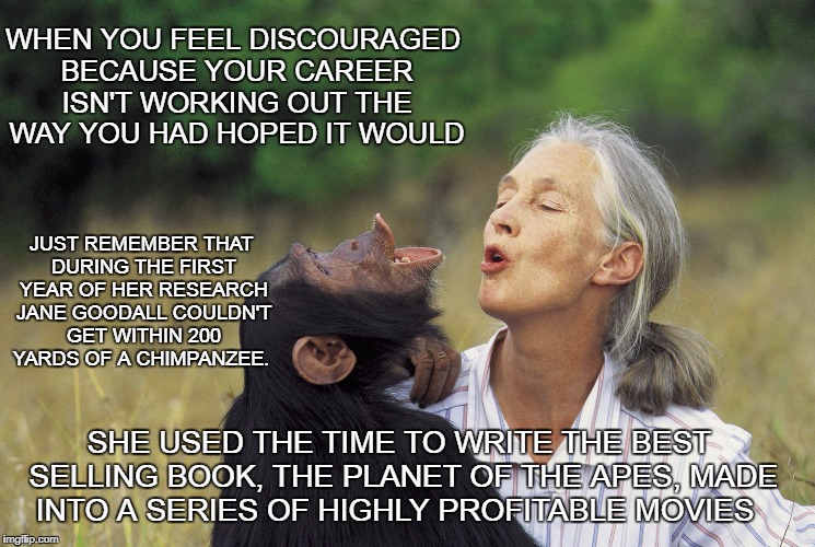 Faux inspirational | WHEN YOU FEEL DISCOURAGED BECAUSE YOUR CAREER ISN'T WORKING OUT THE WAY YOU HAD HOPED IT WOULD; JUST REMEMBER THAT DURING THE FIRST YEAR OF HER RESEARCH JANE GOODALL COULDN'T GET WITHIN 200 YARDS OF A CHIMPANZEE. SHE USED THE TIME TO WRITE THE BEST SELLING BOOK, THE PLANET OF THE APES, MADE INTO A SERIES OF HIGHLY PROFITABLE MOVIES | image tagged in jane goodall,inspiration,don't give up,faux planet of the apes | made w/ Imgflip meme maker