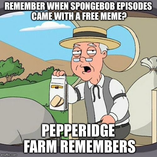 Pepperidge Farm Remembers Meme | REMEMBER WHEN SPONGEBOB EPISODES CAME WITH A FREE MEME? PEPPERIDGE FARM REMEMBERS | image tagged in memes,pepperidge farm remembers | made w/ Imgflip meme maker