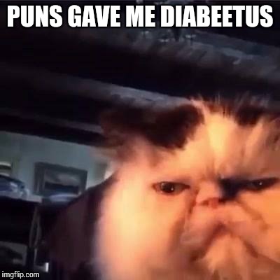 PUNS GAVE ME DIABEETUS | made w/ Imgflip meme maker