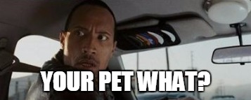 YOUR PET WHAT? | made w/ Imgflip meme maker