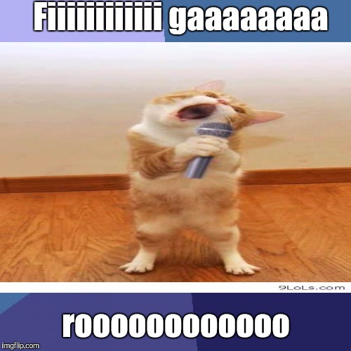 Fiiiiiiiiiiii gaaaaaaaa roooooooooooo | made w/ Imgflip meme maker