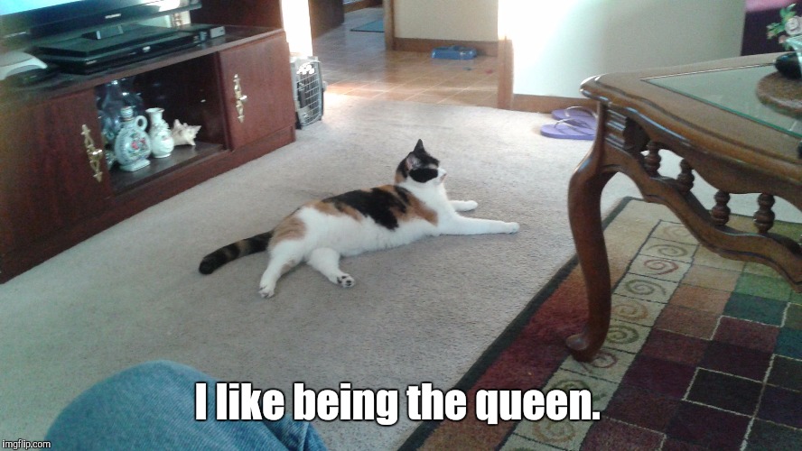 I like being the queen. | made w/ Imgflip meme maker