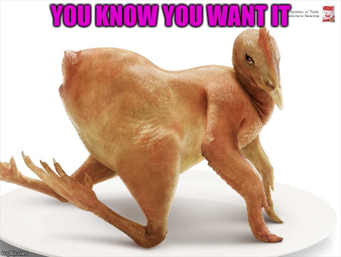 Sexy Chicken Posing | YOU KNOW YOU WANT IT | image tagged in sexy chicken posing | made w/ Imgflip meme maker