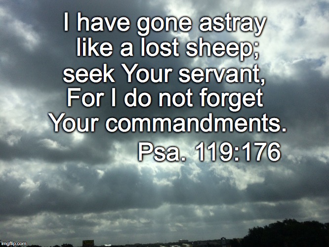 I have gone astray like a lost sheep;; seek Your servant, For I do not forget Your commandments. Psa. 119:176 | image tagged in gone astray | made w/ Imgflip meme maker