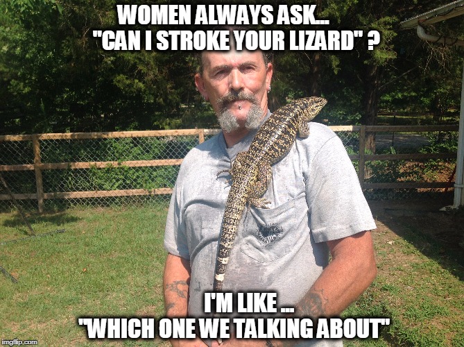Lizard Lovin | WOMEN ALWAYS ASK...      "CAN I STROKE YOUR LIZARD" ? I'M LIKE ...  "WHICH ONE WE TALKING ABOUT" | image tagged in thingswomensay | made w/ Imgflip meme maker