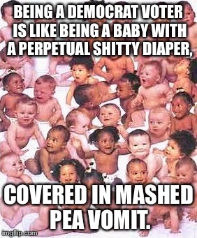 Anti Trumpeters | BEING A DEMOCRAT VOTER IS LIKE BEING A BABY WITH A PERPETUAL SHITTY DIAPER, COVERED IN MASHED PEA VOMIT. | image tagged in anti trumpeters | made w/ Imgflip meme maker