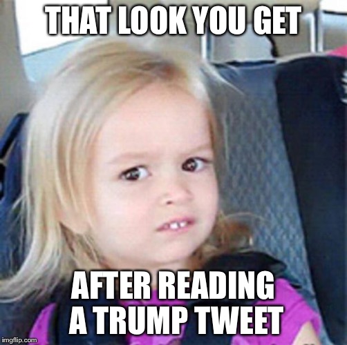 Trump's Tweets Twist Your Brain | THAT LOOK YOU GET; AFTER READING A TRUMP TWEET | image tagged in confused girl,trump,president,tweet,trump tweet,twitter | made w/ Imgflip meme maker