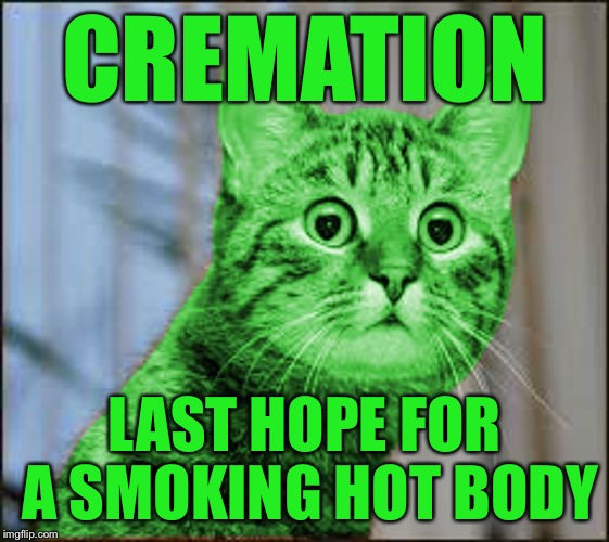 RayCat WTF | CREMATION LAST HOPE FOR A SMOKING HOT BODY | image tagged in raycat wtf | made w/ Imgflip meme maker
