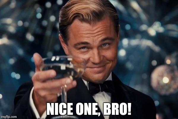 Leonardo Dicaprio Cheers Meme | NICE ONE, BRO! | image tagged in memes,leonardo dicaprio cheers | made w/ Imgflip meme maker