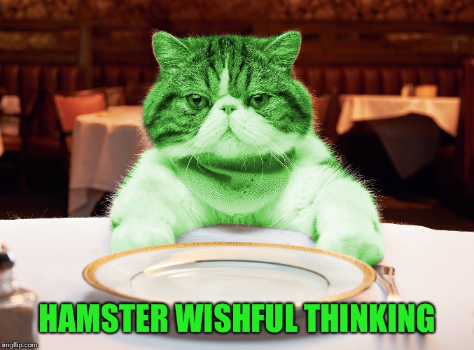 RayCat Hungry | HAMSTER WISHFUL THINKING | image tagged in raycat hungry | made w/ Imgflip meme maker