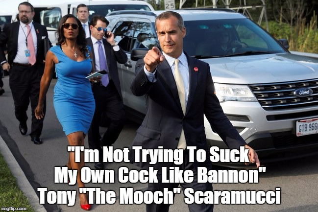 "Ah! The Gentility Of The Trump Administration!" | "I'm Not Trying To Suck My Own Cock Like Bannon" Tony "The Mooch" Scaramucci | image tagged in bannon sucks his own cock,the mooch,scaramucci,goombah tony | made w/ Imgflip meme maker