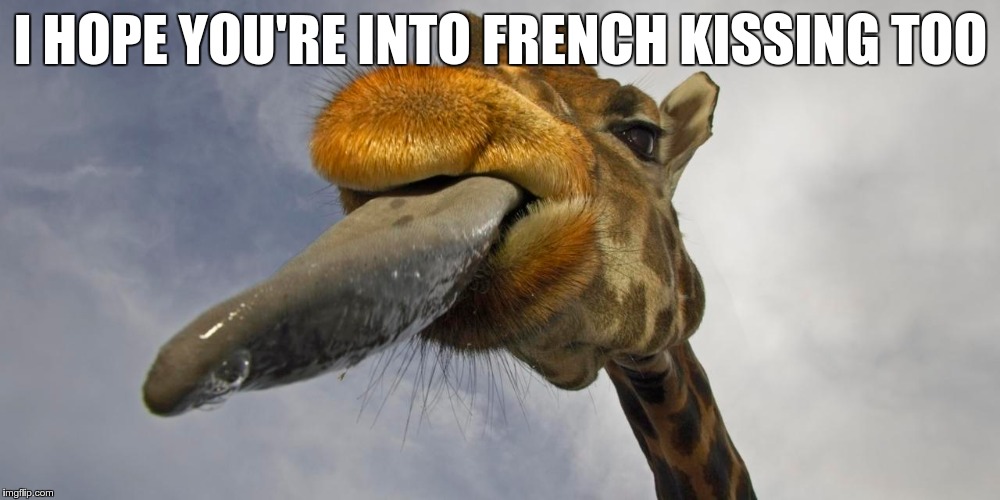 I HOPE YOU'RE INTO FRENCH KISSING TOO | made w/ Imgflip meme maker