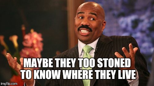 MAYBE THEY TOO STONED TO KNOW WHERE THEY LIVE | image tagged in memes,steve harvey | made w/ Imgflip meme maker