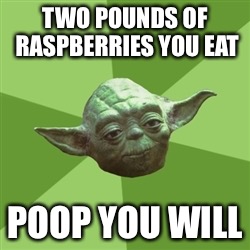 Advice Yoda | TWO POUNDS OF RASPBERRIES YOU EAT; POOP YOU WILL | image tagged in memes,advice yoda | made w/ Imgflip meme maker