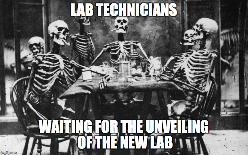 SkeletonsWaiting | LAB TECHNICIANS; WAITING FOR THE UNVEILING OF THE NEW LAB | image tagged in skeletonswaiting | made w/ Imgflip meme maker