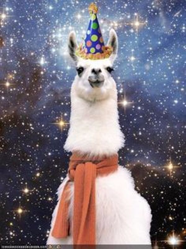large happy birthday cosmic alpaca. 