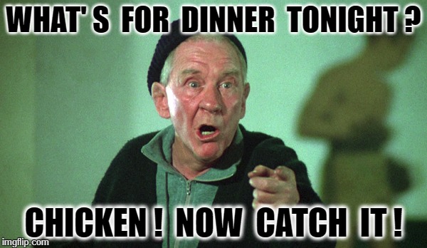 Dinner | WHAT' S  FOR  DINNER  TONIGHT ? CHICKEN !  NOW  CATCH  IT ! | image tagged in mickey | made w/ Imgflip meme maker