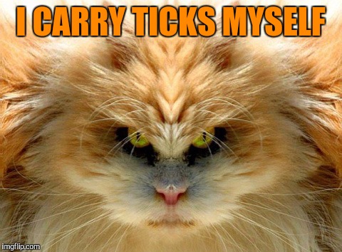 I CARRY TICKS MYSELF | made w/ Imgflip meme maker