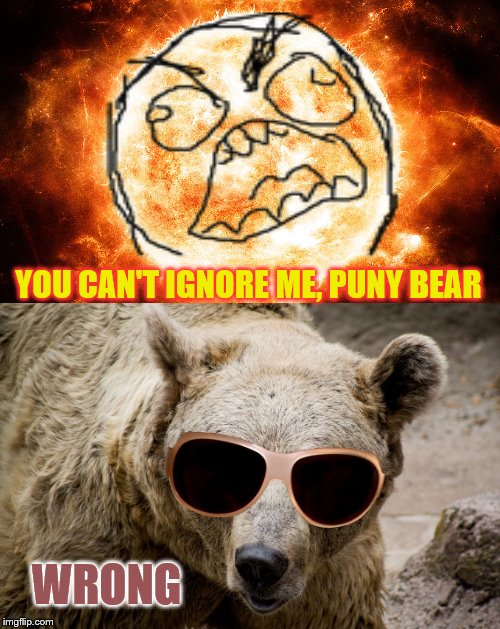 YOU CAN'T IGNORE ME, PUNY BEAR WRONG | made w/ Imgflip meme maker