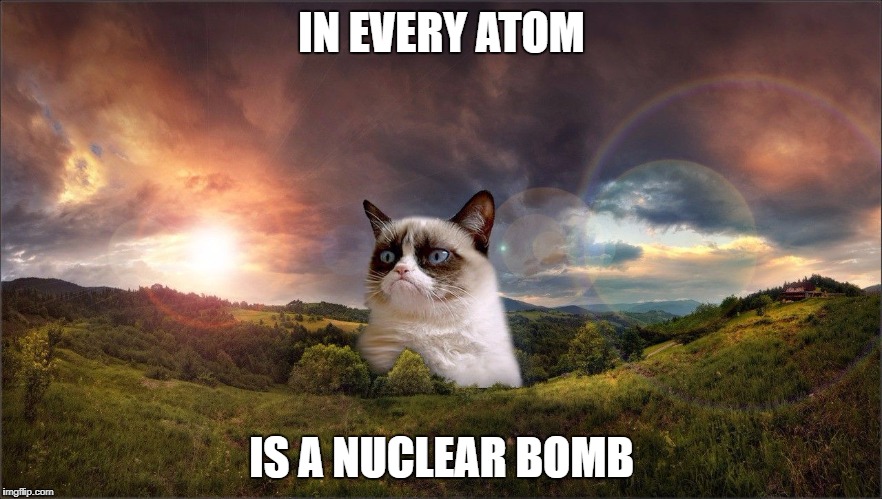 stolen from robopengyfez | IN EVERY ATOM; IS A NUCLEAR BOMB | image tagged in grumpy cat,stolen memes | made w/ Imgflip meme maker