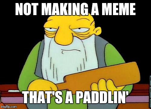 That's a paddlin' Meme | NOT MAKING A MEME; THAT'S A PADDLIN' | image tagged in memes,that's a paddlin' | made w/ Imgflip meme maker
