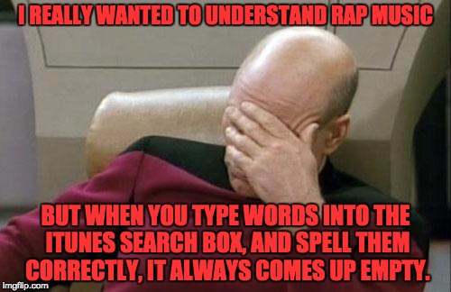 Captain Picard Facepalm Meme | I REALLY WANTED TO UNDERSTAND RAP MUSIC; BUT WHEN YOU TYPE WORDS INTO THE ITUNES SEARCH BOX, AND SPELL THEM CORRECTLY, IT ALWAYS COMES UP EMPTY. | image tagged in memes,captain picard facepalm | made w/ Imgflip meme maker