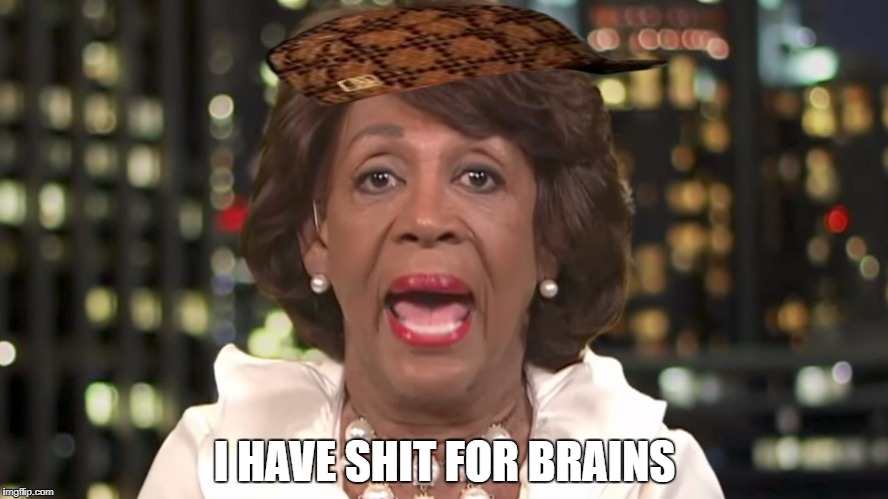 maxine | I HAVE SHIT FOR BRAINS | image tagged in memes | made w/ Imgflip meme maker
