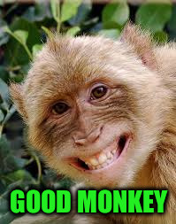 GOOD MONKEY | made w/ Imgflip meme maker