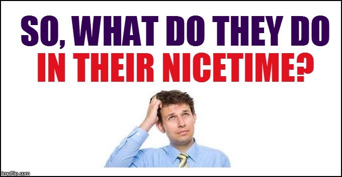 IN THEIR NICETIME? SO, WHAT DO THEY DO | made w/ Imgflip meme maker