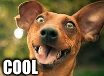 COOL | made w/ Imgflip meme maker