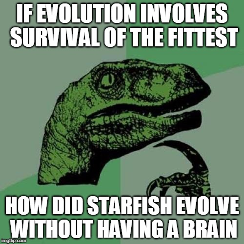 Philosoraptor Meme | IF EVOLUTION INVOLVES SURVIVAL OF THE FITTEST; HOW DID STARFISH EVOLVE WITHOUT HAVING A BRAIN | image tagged in memes,philosoraptor | made w/ Imgflip meme maker