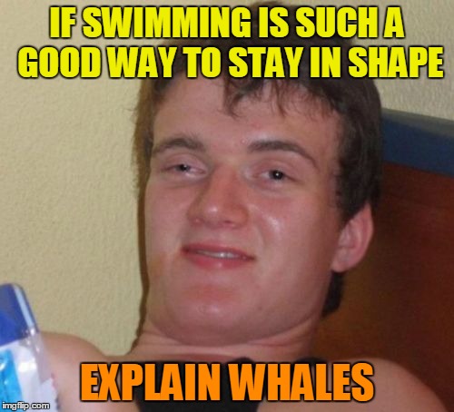 It's Been A Long Whale Since I Went To The Gym! From the needameme stream! Thanks for the meme Dash! ツ | IF SWIMMING IS SUCH A GOOD WAY TO STAY IN SHAPE; EXPLAIN WHALES | image tagged in memes,10 guy,fitness,craziness_all_the_way,dashhopes,needameme | made w/ Imgflip meme maker