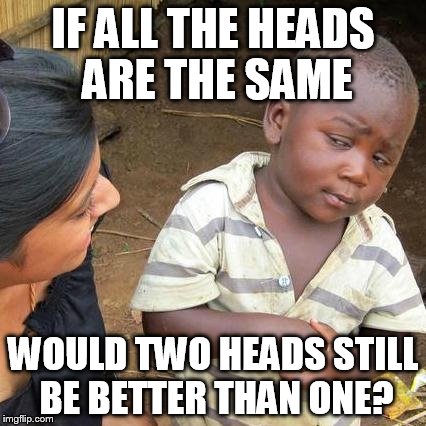 Third World Skeptical Kid Meme | IF ALL THE HEADS ARE THE SAME WOULD TWO HEADS STILL BE BETTER THAN ONE? | image tagged in memes,third world skeptical kid | made w/ Imgflip meme maker