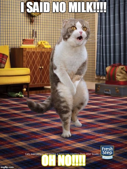Gotta Go Cat | I SAID NO MILK!!!! OH NO!!!! | image tagged in memes,gotta go cat | made w/ Imgflip meme maker