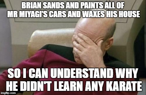 Captain Picard Facepalm Meme | BRIAN SANDS AND PAINTS ALL OF MR MIYAGI'S CARS AND WAXES HIS HOUSE SO I CAN UNDERSTAND WHY HE DIDN'T LEARN ANY KARATE | image tagged in memes,captain picard facepalm | made w/ Imgflip meme maker