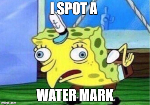 Mocking Spongebob Meme | I SPOT A; WATER MARK | image tagged in mocking spongebob | made w/ Imgflip meme maker