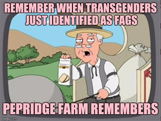 pepridge farm rembers | REMEMBER WHEN TRANSGENDERS JUST IDENTIFIED AS FAGS; PEPRIDGE FARM REMEMBERS | image tagged in pepridge farm rembers | made w/ Imgflip meme maker