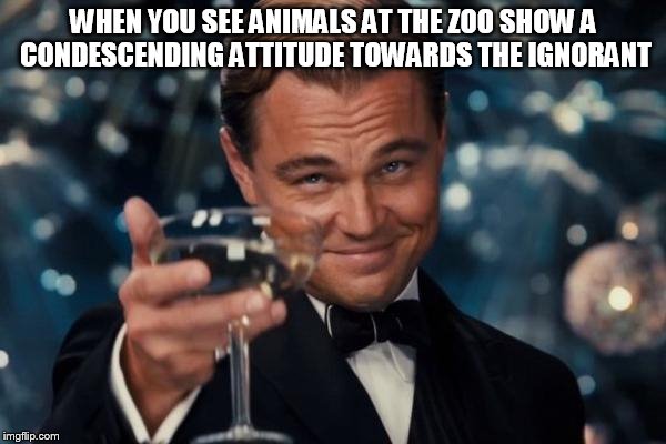 Leonardo Dicaprio Cheers Meme | WHEN YOU SEE ANIMALS AT THE ZOO SHOW A CONDESCENDING ATTITUDE TOWARDS THE IGNORANT | image tagged in memes,leonardo dicaprio cheers | made w/ Imgflip meme maker