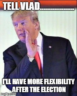TELL VLAD................... I'LL HAVE MORE FLEXIBILITY AFTER THE ELECTION | image tagged in wahoo | made w/ Imgflip meme maker