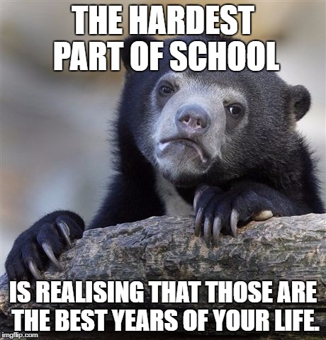 Confession Bear | THE HARDEST PART OF SCHOOL; IS REALISING THAT THOSE ARE THE BEST YEARS OF YOUR LIFE. | image tagged in memes,confession bear | made w/ Imgflip meme maker