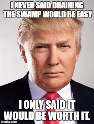Donald Trump |  I NEVER SAID DRAINING THE SWAMP WOULD BE EASY; I ONLY SAID IT WOULD BE WORTH IT. | image tagged in donald trump | made w/ Imgflip meme maker