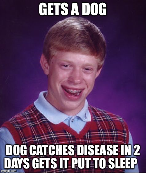 Bad Luck Brian Meme | GETS A DOG; DOG CATCHES DISEASE IN 2 DAYS GETS IT PUT TO SLEEP | image tagged in memes,bad luck brian | made w/ Imgflip meme maker