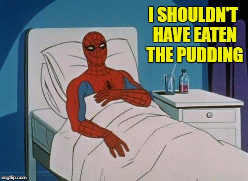 I SHOULDN'T HAVE EATEN THE PUDDING | made w/ Imgflip meme maker