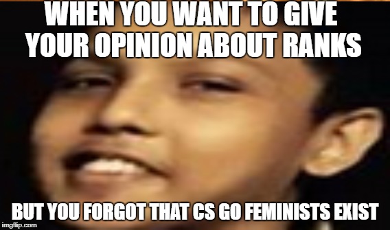 g l o b a l e l i t e  | WHEN YOU WANT TO GIVE YOUR OPINION ABOUT RANKS; BUT YOU FORGOT THAT CS GO FEMINISTS EXIST | image tagged in counter strike | made w/ Imgflip meme maker
