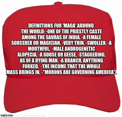 blank red MAGA hat | DEFINITIONS FOR 'MAGA' AROUND THE WORLD:
-ONE OF THE PRIESTLY CASTE AMONG THE SAURAS OF INDIA.
-A FEMALE SORCERER OR MAGICIAN.
-VERY THIN.
-SWOLLEN.
-A MOUTHFUL. 
-MALE ANDROGENETIC ALOPECIA.
-A GOOSE OR GEESE.
-STAGGERING. AS OF A DYING MAN.
-A BRANCH, ANYTHING FORKED. 
-THE INCOME THAT THE WHOLE MASS BRINGS IN.
-"MORONS ARE GOVERNING AMERICA". | image tagged in blank red maga hat | made w/ Imgflip meme maker