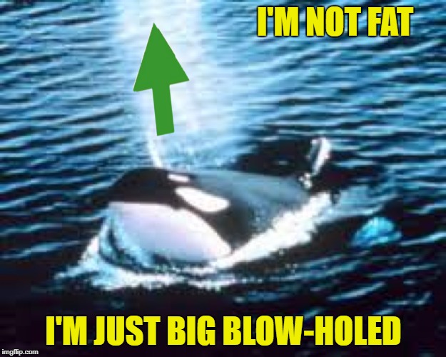 I'M NOT FAT I'M JUST BIG BLOW-HOLED | made w/ Imgflip meme maker