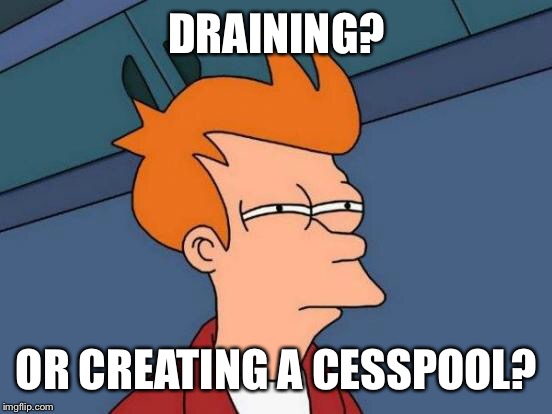 Futurama Fry Meme | DRAINING? OR CREATING A CESSPOOL? | image tagged in memes,futurama fry | made w/ Imgflip meme maker