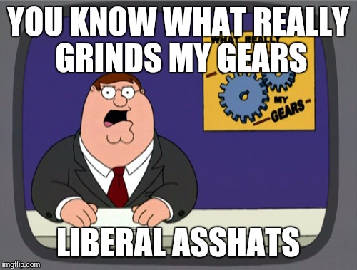 Peter Griffin News | YOU KNOW WHAT REALLY GRINDS MY GEARS; LIBERAL ASSHATS | image tagged in memes,peter griffin news | made w/ Imgflip meme maker