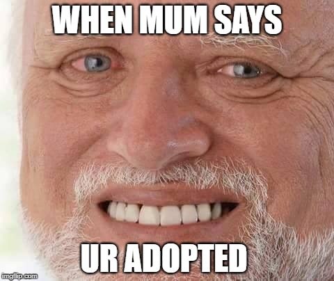 harold smiling | WHEN MUM SAYS; UR ADOPTED | image tagged in harold smiling | made w/ Imgflip meme maker